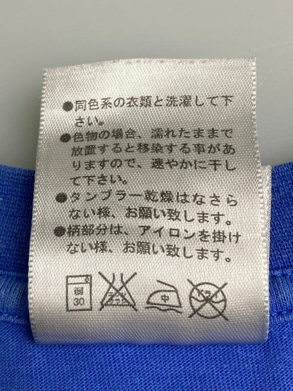 【中古品】【メンズ】 NIKE ナイキ 089ACG THE FINAL FRONTIER PRINT TEE 90~00S プリント Tシャツ メンズ トップス 半袖 146-251212-em-17-min サイズ：XL カラー：ブルー 万代Net店