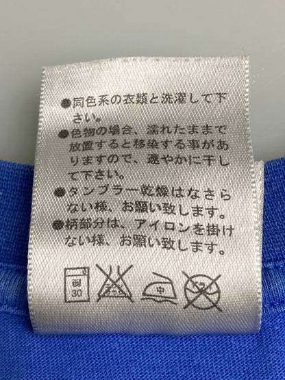 【中古品】【メンズ】 NIKE ナイキ 089ACG THE FINAL FRONTIER PRINT TEE 90~00S プリント Tシャツ メンズ トップス 半袖 146-251212-em-17-min サイズ：XL カラー：ブルー 万代Net店