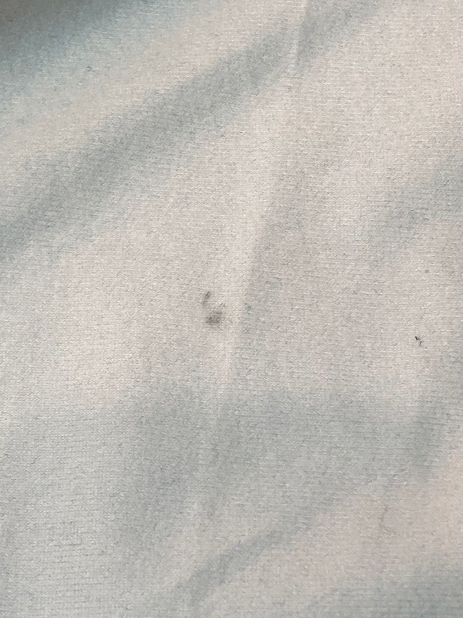 【中古品】【メンズ】 CARHARTT WIP カーハートダブリューアイピー I026317 CARHARTT SCRIPT COACH JACKET コーチジャケット ライトアウター 142-250928-AS-25-min サイズ：XL カラー：ブルー 万代Net店