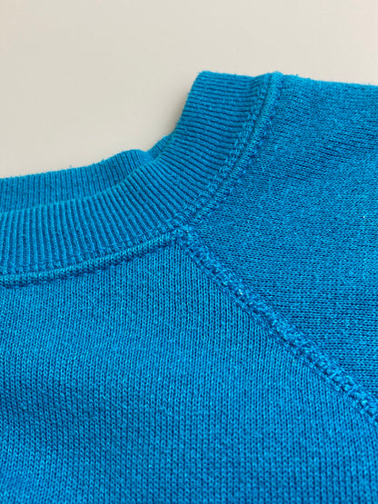 【現状渡し品】【メンズ】 TULTEX タルテックス 80S BLANK SWEATSHIRT TARQUAISE スウェット トレーナー 146-251015-AS-26-min サイズ：L カラー：ブルー 万代Net店