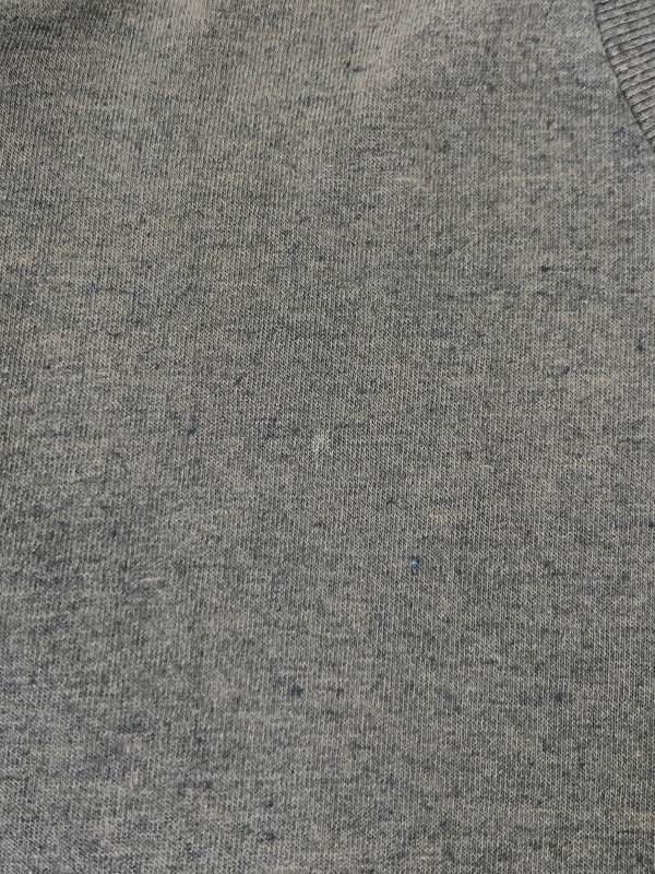 【現状渡し品】【メンズ】 HARLEY DAVIDSON ハーレーダビッドソン 80S DAYTONA BEACH TEE Tシャツ トップス 146-251012-ks-21-min サイズ：L カラー：グレー 万代Net店