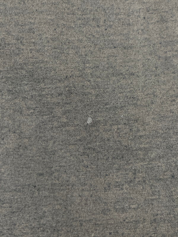 【現状渡し品】【メンズ】 HARLEY DAVIDSON ハーレーダビッドソン 80S DAYTONA BEACH TEE Tシャツ トップス 146-251012-ks-21-min サイズ：L カラー：グレー 万代Net店