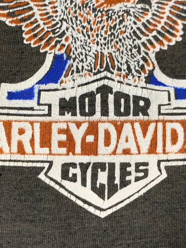 【現状渡し品】【メンズ】 HARLEY DAVIDSON ハーレーダビッドソン 80S DAYTONA BEACH TEE Tシャツ トップス 146-251012-ks-21-min サイズ：L カラー：グレー 万代Net店