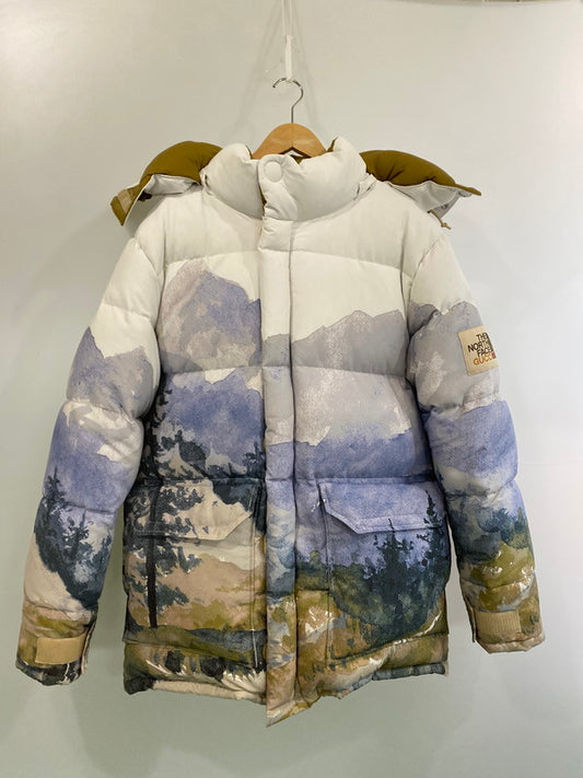 【中古品】【メンズ】 GUCCI グッチ × THE NORTH FACE ザ ノースフェイス 2021年秋冬モデル トレイルプリント ダウンジャケット 670603 アウター 141-251126-jt-25-min サイズ：L 万代Net店