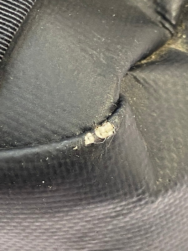 【中古品】【メンズ/レディース】 THE NORTH FACE ザ・ノースフェイス BC FUSE BOX NM81630 BC ヒューズボックス リュック バック 188-251223-em-14-min カラー：ブラック 万代Net店