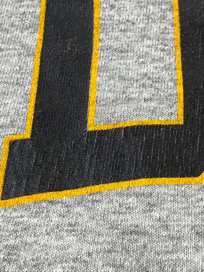 【中古品】【メンズ】 COTTON EXCHANGE コットン エクスチェンジ 90S IDAHO TEE 90年代 アイダホ ティー 半袖 ショートスリーブ Tシャツ 146-260724-hu-32-min サイズ：L カラー：グレー 万代Net店