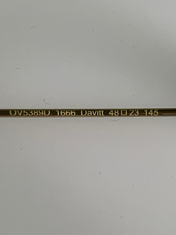 【中古品】【メンズ】 OLIVER PEOPLES オリバーピープルズ DAVITT SUNGLASSES OV5389D ダビット サングラス チタンテンプル ウェリントンシェイプ メガネ 48□23-145 203-260512-em-36-min カラー：ブラウン系/クリア 万代Net店