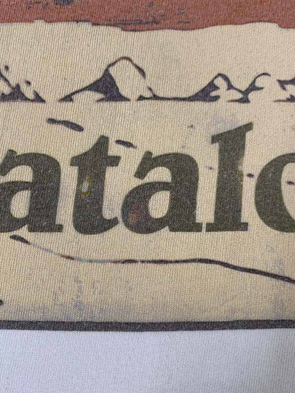 【中古品】【メンズ】 PATAGONIA パタゴニア 00S PATALOHA LOGO TEE 2000年代 ロゴTシャツ 半袖Tシャツ メンズ トップス 144-260706-KS-19-min サイズ：M カラー：ホワイト 万代Net店