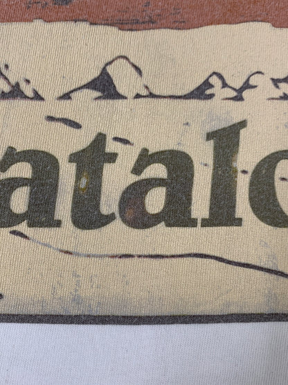 【中古品】【メンズ】 PATAGONIA パタゴニア 00S PATALOHA LOGO TEE 2000年代 ロゴTシャツ 半袖Tシャツ メンズ トップス 144-260706-KS-19-min サイズ：M カラー：ホワイト 万代Net店