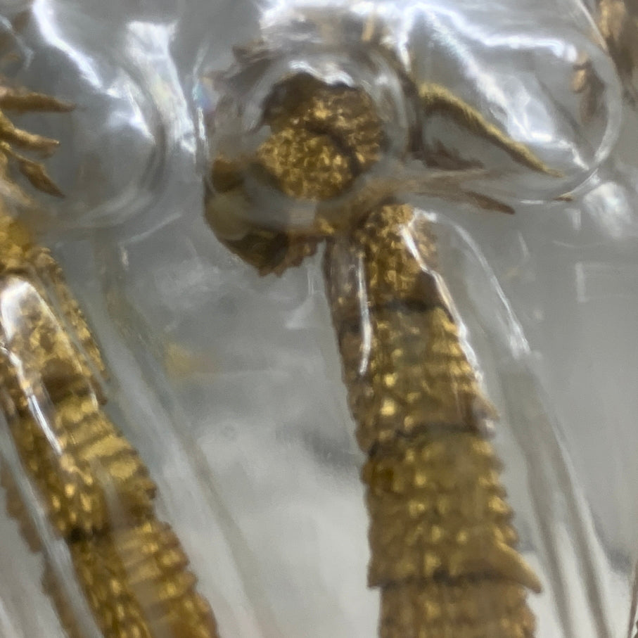 【現状渡し品】 S.H.MonsterArts キングギドラ Special Color Ver. フィギュア バンダイ 魂ウェブ商店 044-260727-em-12-min 万代Net店