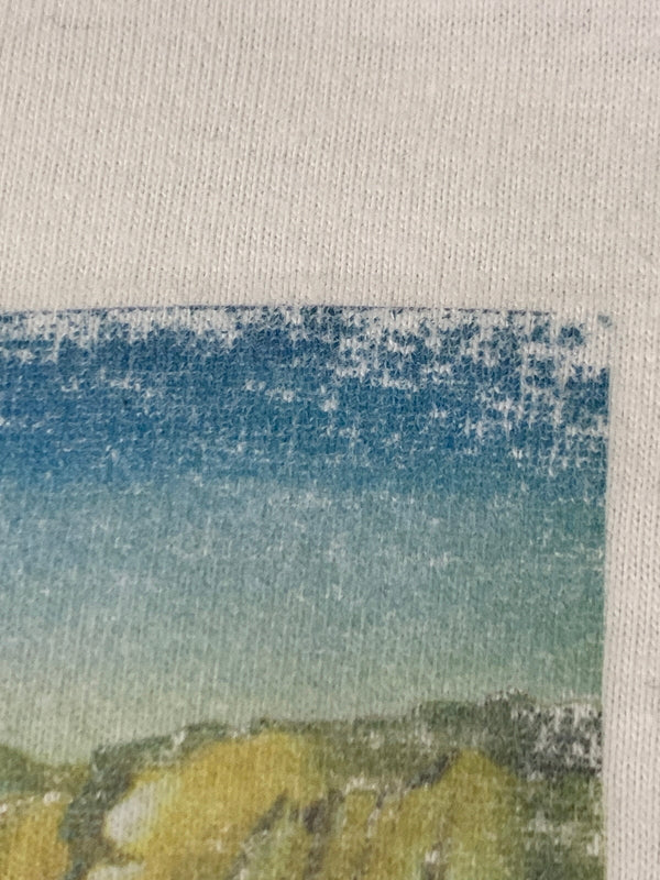 【中古品】【メンズ】 SALVADOR DALI 00'S 記憶の固執 ART TEE アート 半袖 Tシャツ サルバドール・ダリ ショートスリーブ 00年代 ヴィンテージ 146-260925-em-41-min サイズ：L カラー：ホワイト 万代Net店