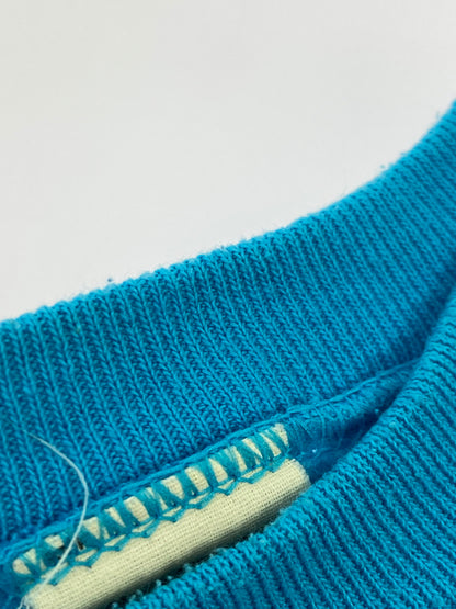 【中古品】【メンズ】 FRUITS OF THE LOOM フルーツ・オブ・ザ・ルーム 80S 90S FRUITS OF THE LOOM 80年代 スウェットシャツ メンズ 長袖 トレーナー トップス 146-261005-em-13-min サイズ：XL カラー：ライトブルー 万代Net店