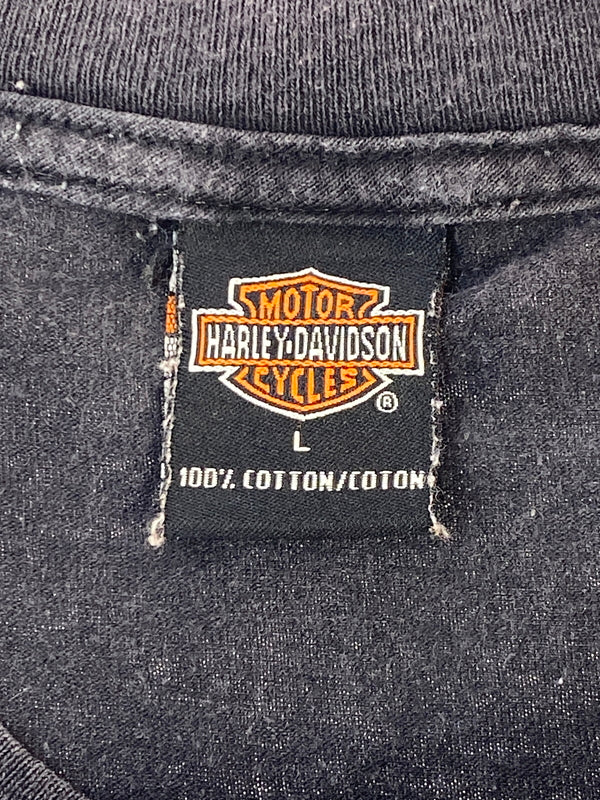 【中古品】【メンズ】 HARLEY-DAVIDSON ハーレーダビッドソン 00S MICHIGAN CITY TEE 00年代 ショートスリーブ 半袖 Tシャツ メンズ トップス ヴィンテージ 146-261005-em-12-min サイズ：L カラー：ブラック 万代Net店