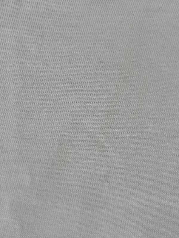 【中古品】【メンズ】 DIOR HOMME ディオール・オム クリスヴァンアッシュ期 BEE LS TEE 863J626B0446 ビー ロングスリーブ 長袖Tシャツ 蜂 刺繍 メンズ トップス 141-261020-em-22-min サイズ：L カラー：ホワイト 万代Net店