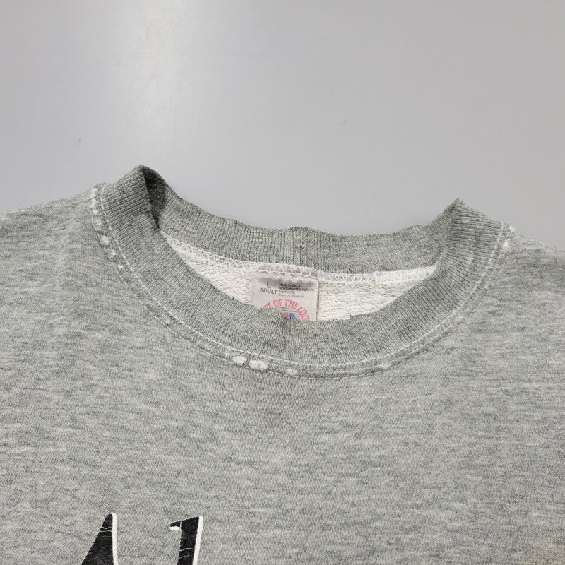 【現状渡し品】【メンズ】 FRUIT OF THE LOOM フルーツオブザルーム BASEBALL SWEATSHIRT ベースボール スウェットシャツ トレーナー 長袖 トップス 146-250728-as-17-izu サイズ：L カラー：グレー 万代Net店