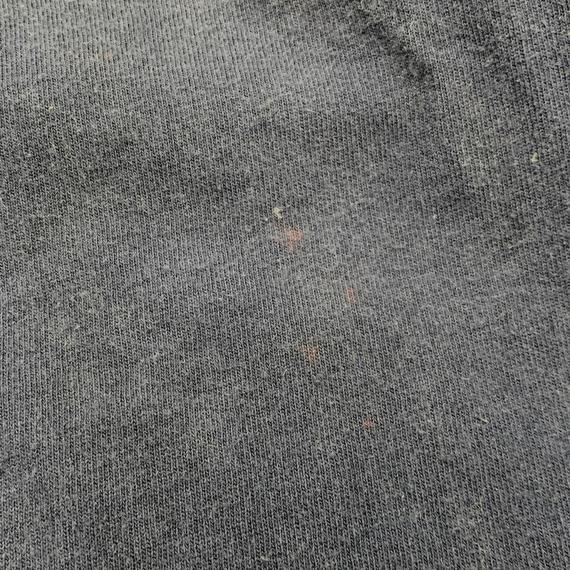 【現状渡し品】【メンズ】 TULTEX タルテックス DC TALK JESUS FREAK SHOW TOUR TEE 半袖Tシャツ トップス 146-250524-as-39-izu サイズ：L カラー：ネイビー 万代Net店