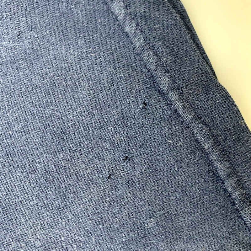 【現状渡し品】【メンズ】 TULTEX タルテックス DC TALK JESUS FREAK SHOW TOUR TEE 半袖Tシャツ トップス 146-250524-as-39-izu サイズ：L カラー：ネイビー 万代Net店