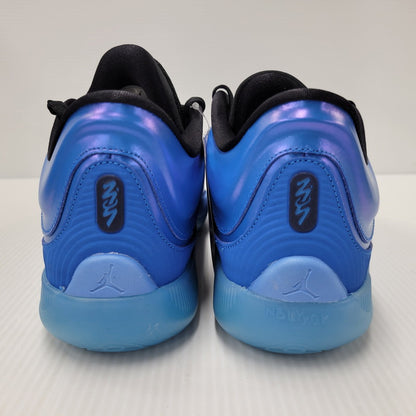 【中古美品】【メンズ】 NIKE ナイキ JORDAN ZION 4 PF FD0591-400 ジョーダン ザイオン 4 PF スニーカー シューズ 靴 160-250609-as-19-izu サイズ：29cm カラー：LT PHOTO BLUE/COAST-BLACK 万代Net店