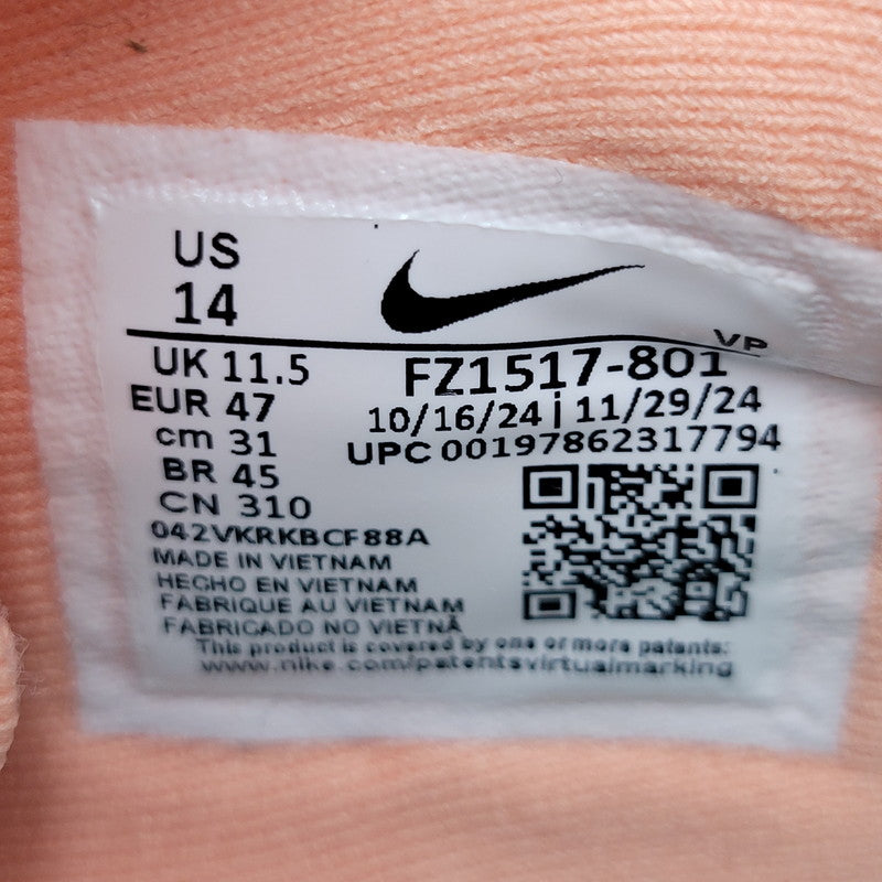 【中古品】【メンズ】 NIKE ナイキ SABRINA 2 EP FZ1517-801 サブリナ 2 EP スニーカー シューズ 靴 160-250609-as-18-izu サイズ：31cm カラー：APRICOT AGATE/LIGHT BONE 万代Net店