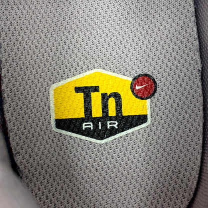 【中古品】【メンズ】 NIKE ナイキ FV8480-001 WOMEN'S AIR MAX PLUS ウィメンズ エアマックス プラス 靴 スニーカー シューズ 160-250613-ma-05-izu サイズ：29cm カラー：LIGHT PINK/SILVER 万代Net店