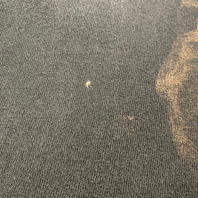 【中古品】【メンズ】 WILLIAM WEGMAN ウィリアム ウェグマン FRUIT OF THE LOOM フルーツ オブ ザ ルーム 両シングル IN THE BOX イン ザ ボックス ART TEE アート Tシャツ トップス 半袖 146-250806-ya-01-izu サイズ：L カラー：ブラック 万代Net店