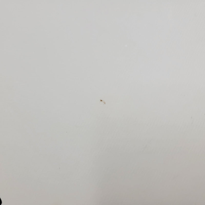 【中古品】【メンズ/レディース】 GUCCI グッチ WOOL STALL ウール ストール GG柄 小物 服飾雑貨 183-250815-ay-10-izu カラー：グレー 万代Net店