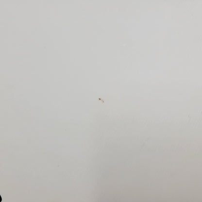 【中古品】【メンズ/レディース】 GUCCI グッチ WOOL STALL ウール ストール GG柄 小物 服飾雑貨 183-250815-ay-10-izu カラー：グレー 万代Net店