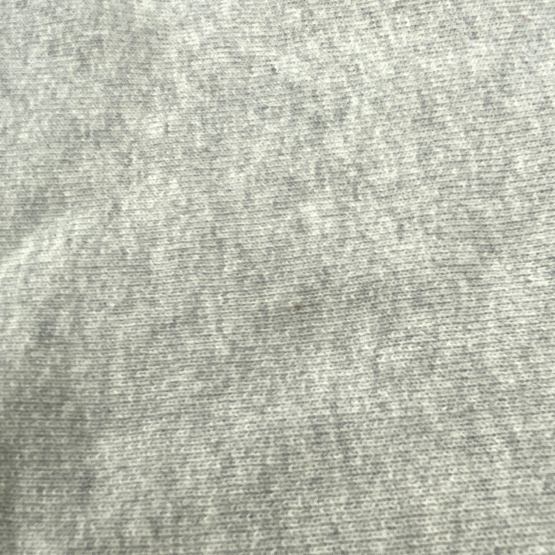 【中古品】【メンズ】 Champion チャンピオン C3-Y132 青単色タグ復刻 REVERSE WEAVE リバースウィーブ HOODED SWEATSHIRT フーデッド スウェット シャツ パーカー 148-251128-ya-13-izu サイズ：XL カラー：グレー 万代Net店