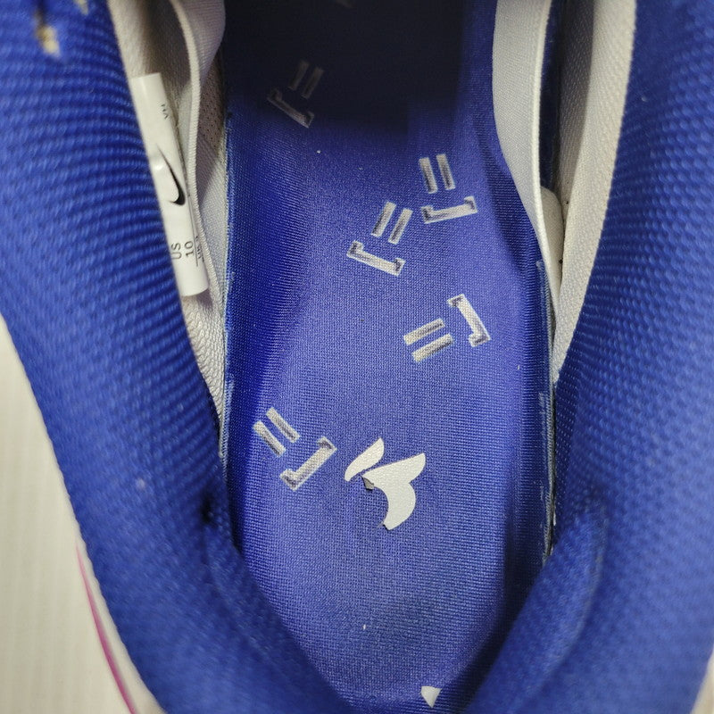 【中古品】【メンズ】 NIKE SB ナイキエスビー × RAYSSA LEAL ライッサ レアウ DUNK LOW PRM RL FZ5251-001 ダンク ロー プレミアム RL スニーカー シューズ 靴 160-251123-as-02-izu サイズ：28cm カラー：PURE PLATINUM/DEEP ROYAL BLUE 万代Net店