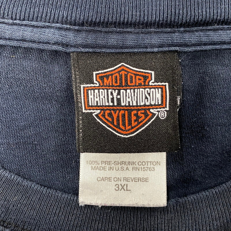 【現状渡し品】【メンズ】 HARLEY DAVIDSON ハーレーダビッドソン LOONEY TUNES FIRE LS TEE ルーニーテューンズ ロングスリーブ Tシャツ USA製 長袖 トップス 146-251216-as-22-izu サイズ：3XL カラー：ブラック 万代Net店