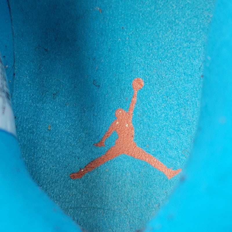 【中古品】【メンズ】 310805-408 AIR JORDAN 10 エアジョーダン10 スニーカー シューズ 靴 160-260128-kk-03-izu サイズ：29.0cm カラー：ハラチライト 万代Net店