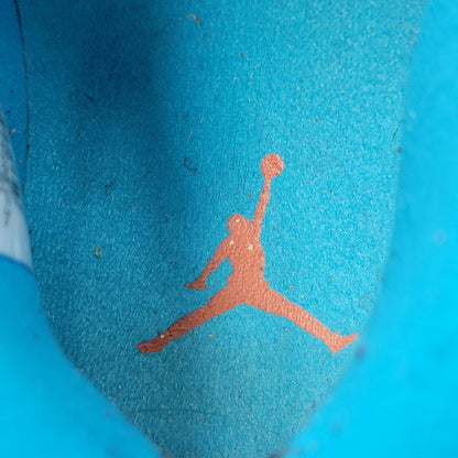 【中古品】【メンズ】 310805-408 AIR JORDAN 10 エアジョーダン10 スニーカー シューズ 靴 160-260128-kk-03-izu サイズ：29.0cm カラー：ハラチライト 万代Net店