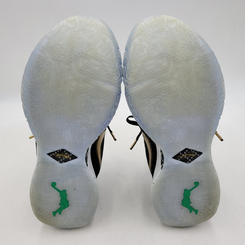 【中古品】【メンズ】 NIKE ナイキ DJ5422-003 LEBRON 20 レブロン スニーカー 靴 160-260215-tt-05-izu サイズ：28cm カラー：Pure Platinum/Metallic Gold 万代Net店