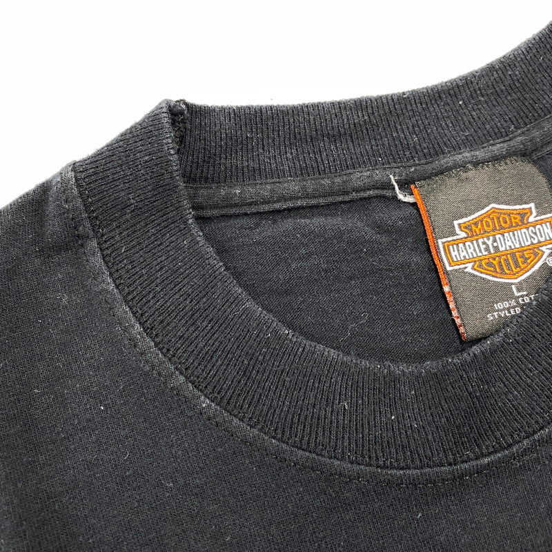 【中古品】【メンズ】 USA製"IRELAND EAGLE"PRINT S S TEE アイルランド イーグル プリント Tシャツ 半袖 トップス 146-260319-yn-08-izu サイズ：L カラー：ブラック 万代Net店