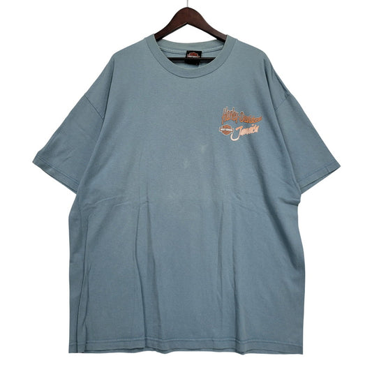 【中古品】【メンズ】 HARLEY DAVIDSON ハーレーダビッドソン JAMAICA MARLIN BIKE BACK PRINT S/S TEE バックプリント 半袖 Tシャツ 146-260522-ka-01-izu サイズ：2XL カラー：ライトブルー 万代Net店