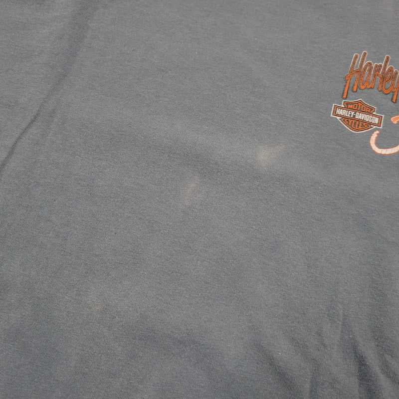 【中古品】【メンズ】 HARLEY DAVIDSON ハーレーダビッドソン JAMAICA MARLIN BIKE BACK PRINT S/S TEE バックプリント 半袖 Tシャツ 146-260522-ka-01-izu サイズ：2XL カラー：ライトブルー 万代Net店