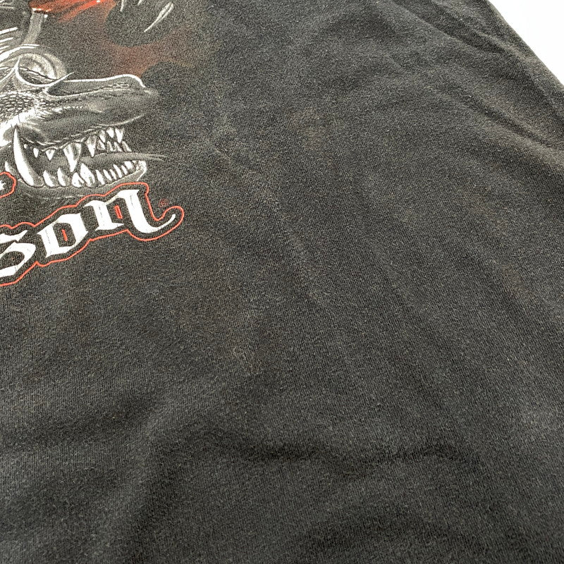 【中古品】【メンズ】 HARLEY DAVIDSON ハーレーダビッドソン SMOKY MOUNTAIN SS TEE ショートスリーブ Tシャツ 半袖 146-260527-as-27-izu サイズ：L カラー：ブラック 万代Net店