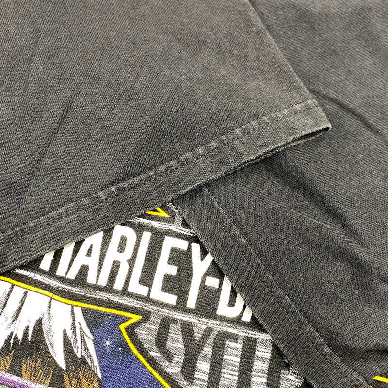 【中古品】【メンズ】 HARLEY DAVIDSON ハーレーダビッドソン c1997 c2000 BLACK HILLS RALLY 60TH EAGLE PRINT SS TEE プリント 半袖 Tシャツ USA製 146-260527-as-26-izu サイズ：L カラー：ブラック 万代Net店