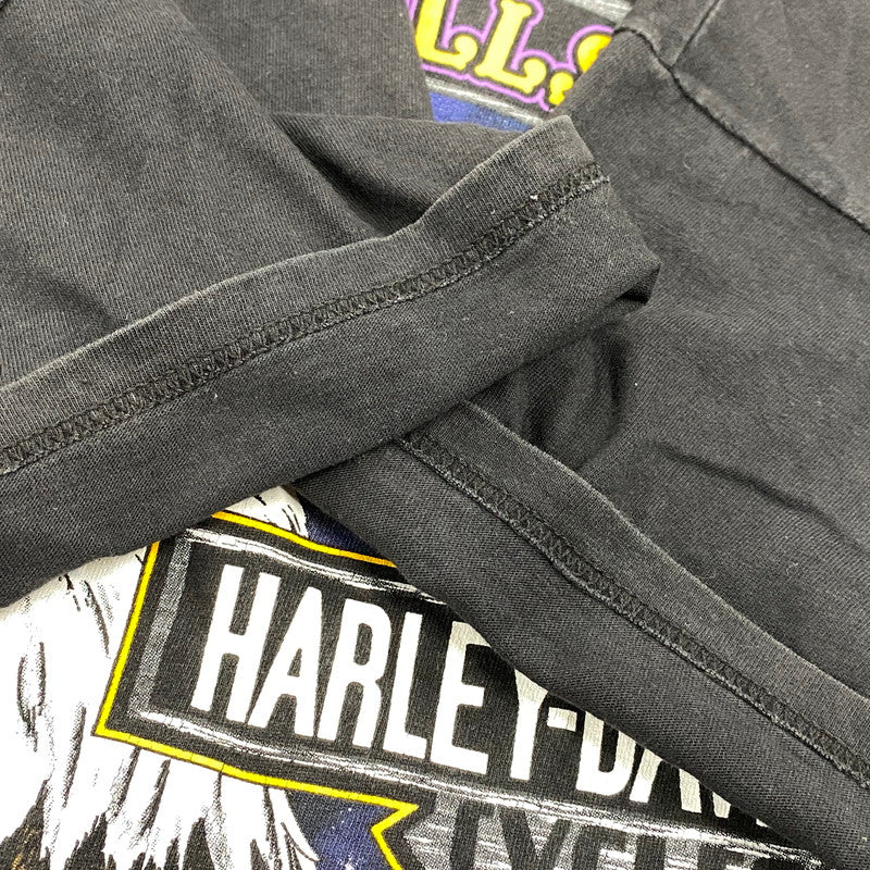 【中古品】【メンズ】 HARLEY DAVIDSON ハーレーダビッドソン c1997 c2000 BLACK HILLS RALLY 60TH EAGLE PRINT SS TEE プリント 半袖 Tシャツ USA製 146-260527-as-26-izu サイズ：L カラー：ブラック 万代Net店