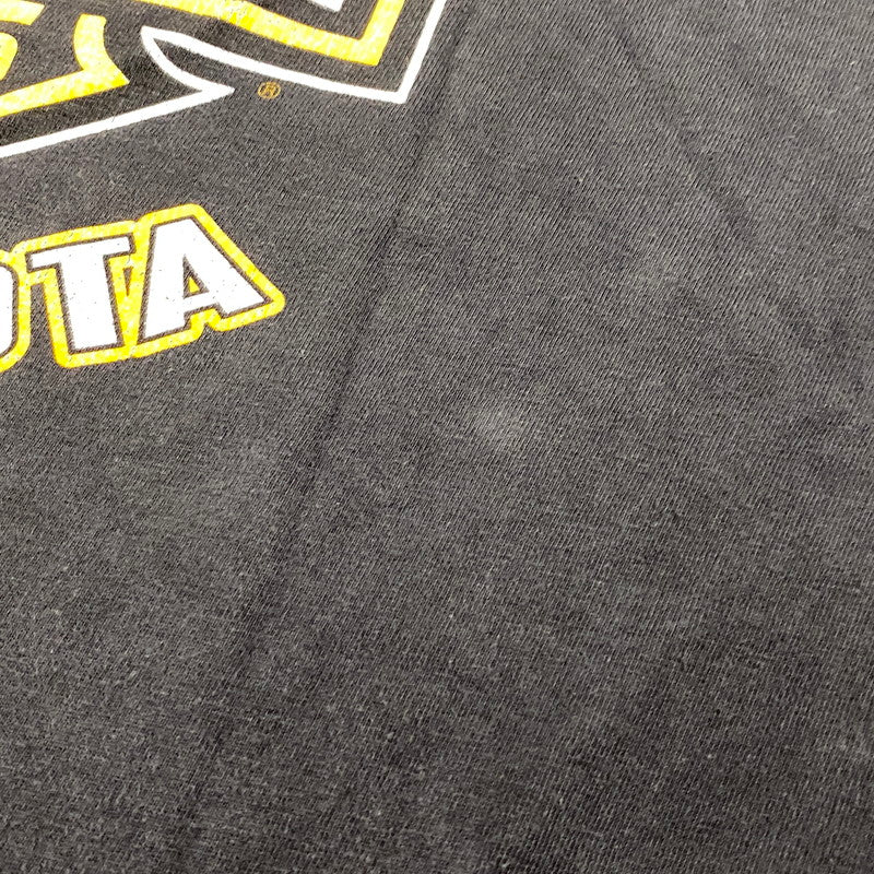 【中古品】【メンズ】 HARLEY DAVIDSON ハーレーダビッドソン c1997 c2000 BLACK HILLS RALLY 60TH EAGLE PRINT SS TEE プリント 半袖 Tシャツ USA製 146-260527-as-26-izu サイズ：L カラー：ブラック 万代Net店