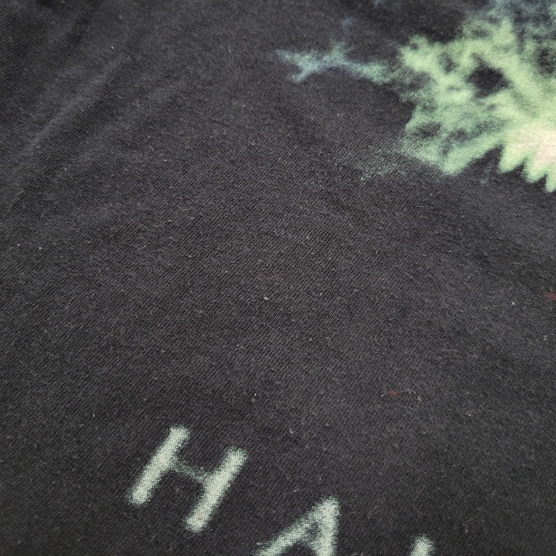 【現状渡し品】【メンズ】 ALL SPORTS オールスポーツ THE HAUNTING TEE c1999 Tシャツ USA製 両シングル 半袖 146-260602-as-26-izu サイズ：XL カラー：ブラック 万代Net店