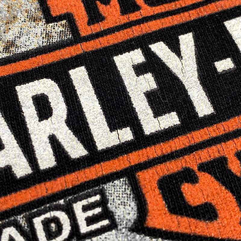 【中古品】【メンズ】 HARLEY-DAVIDSON ハーレーダビッドソン PIN-UP GIRL ピンナップガール LS TEE ロングスリーブ Tシャツ トップス 長袖 146-260623-ya-03-izu サイズ：XL カラー：ブラック 万代Net店