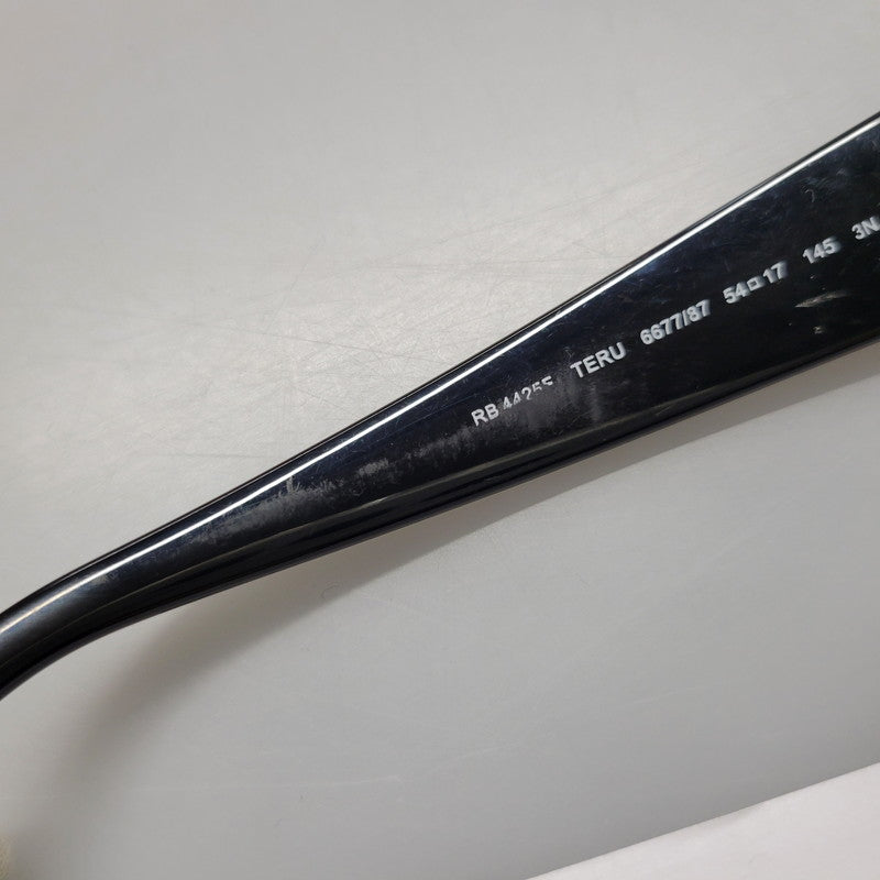 【現状渡し品】【メンズ/レディース】 RAY-BAN レイバン RB4425F TERU BIO-BASED バイオベース SUNGLASSES サングラス 203-260724-ya-12-izu サイズ：54口17-145 カラー：ブラック 万代Net店