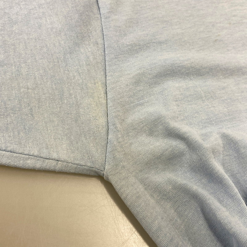 【現状渡し品】【メンズ】 SPORTSWEAR スポーツウェア GREAT TEXAS MOSQUITO FESTIVAL S/S TEE 半袖Tシャツ USA製 146-260808-as-15-izu サイズ：L カラー：ライトブルー 万代Net店