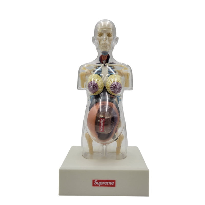 【中古品】 SUPREME シュプリーム 18FW FEMALE ANATOMY MODEL フィメール アナトミー モデル フィギュア 208-260818-cs-17-izu 万代Net店