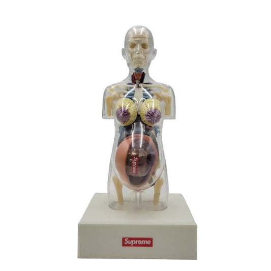 【中古品】 SUPREME シュプリーム 18FW FEMALE ANATOMY MODEL フィメール アナトミー モデル フィギュア 208-260818-cs-17-izu 万代Net店