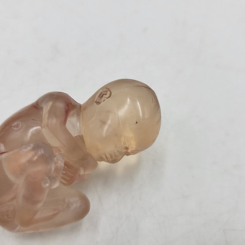【中古品】 SUPREME シュプリーム 18FW FEMALE ANATOMY MODEL フィメール アナトミー モデル フィギュア 208-260818-cs-17-izu 万代Net店