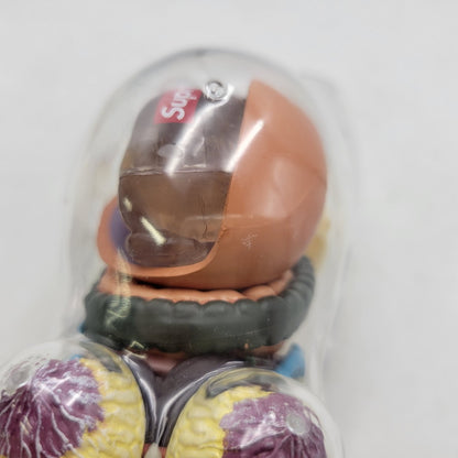 【中古品】 SUPREME シュプリーム 18FW FEMALE ANATOMY MODEL フィメール アナトミー モデル フィギュア 208-260818-cs-17-izu 万代Net店