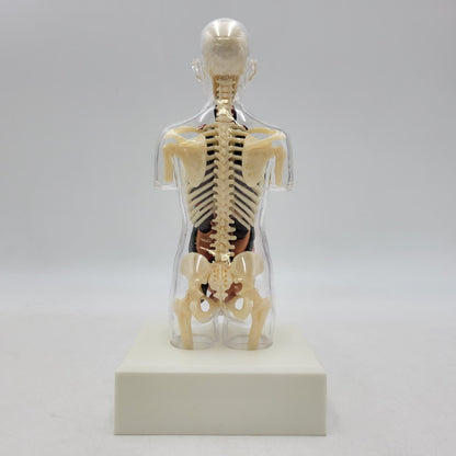 【中古品】 SUPREME シュプリーム 18FW FEMALE ANATOMY MODEL フィメール アナトミー モデル フィギュア 208-260818-cs-17-izu 万代Net店