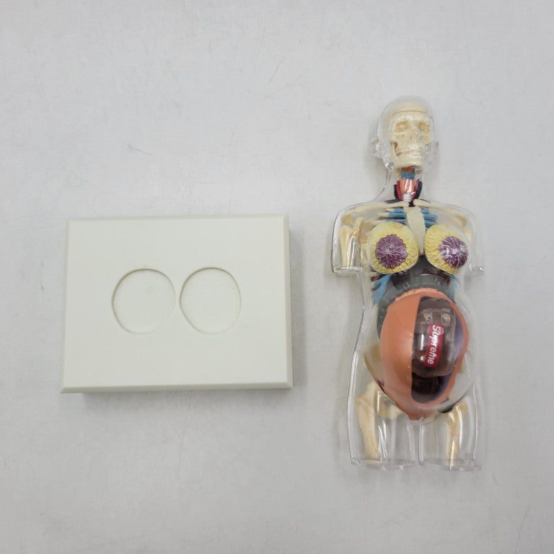【中古品】 SUPREME シュプリーム 18FW FEMALE ANATOMY MODEL フィメール アナトミー モデル フィギュア 208-260818-cs-17-izu 万代Net店